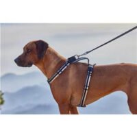 Farm Correa De Nylon Multifuncional Deluxe Reflect Para Perro Vida De Perro