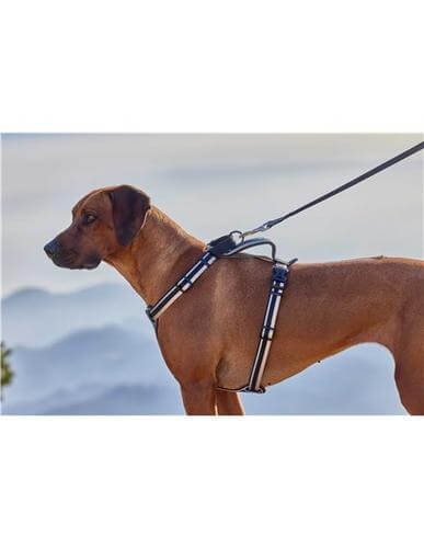 Farm Correa De Nylon Multifuncional Reflect Para Perro