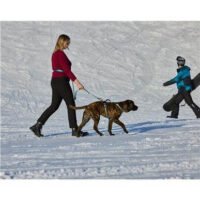 Farm Correa De Nylon Multifuncional Deluxe Reflect Para Perro Vida De Perro