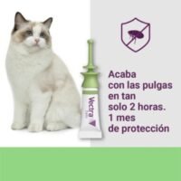 Vectra Vectra Felis pipetas para gatos