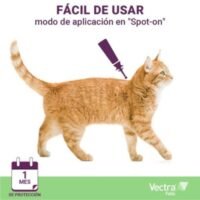 Vectra Vectra Felis pipetas para gatos
