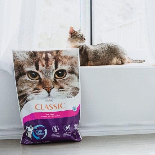 Intersand Arena Para Gatos Classic Talco De Bebé