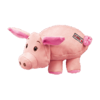 KONG Phatz Pig