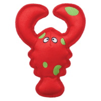 KONG Belly Flops Langosta