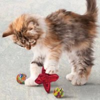 Kong Active Jacks juguetes para gatos con catnip