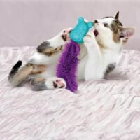 Kong Bobble Mouse con Catnip para gatos