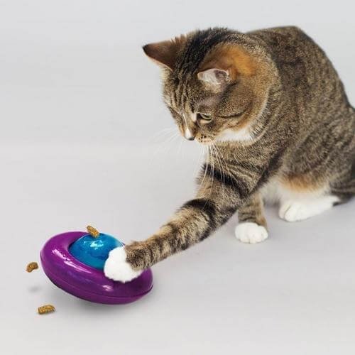 Kong Infused Gyro dispensador de comida para gatosºº