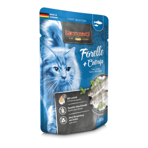Leonardo Trucha + Menta Gatuna Gato