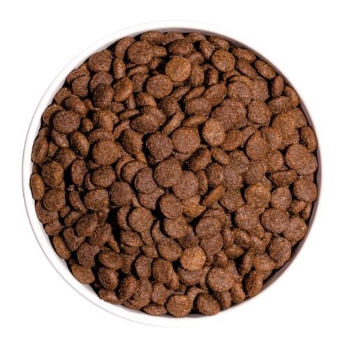 Ownat Classic Mini Adult