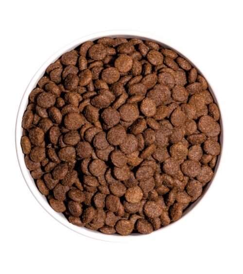 Ownat Classic Mini Adult