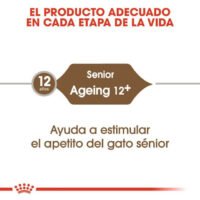Royal Canin Ageing Mayores De 12 Años