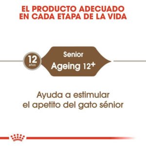 Royal Canin Ageing Mayores De 12 Años