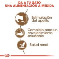 Royal Canin Ageing Mayores De 12 Años