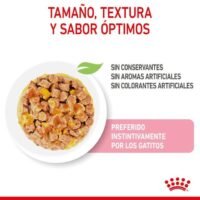 Royal Canin Kitten Comida Húmeda En Gelatina Para Gatitos Segunda Edad