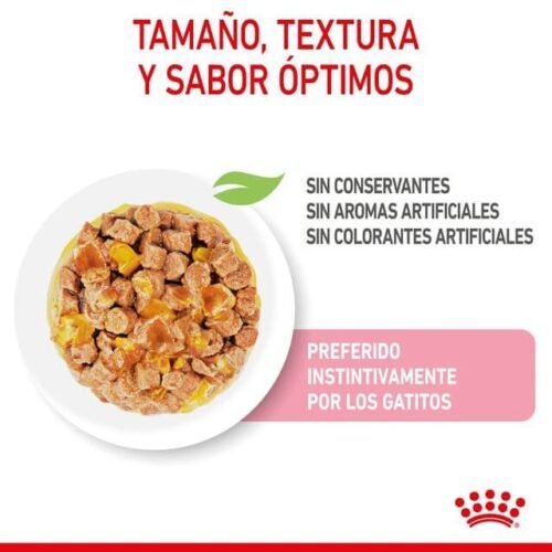 Royal Canin Kitten Comida Húmeda