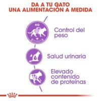 Royal Canin Sterilised 37 Pienso Para Gatos Esterilizados Adultos Con Pollo Y Arroz 10 Kg