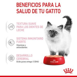 Royal Canin Kitten Comida Húmeda En Paté Para Gatitos Segunda Edad