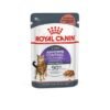 Royal Canin Appetite Control Care Comida Húmeda En Salsa Para Gatos