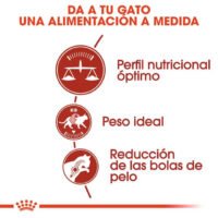 Royal Canin Fit 32 Pienso Para Gatos Adultos Con Pollo Y Arroz 10 Kg