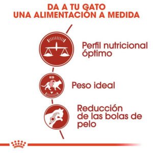 Royal Canin Fit 32 Pienso Para Gatos Adultos Con Pollo Y Arroz 10 Kg