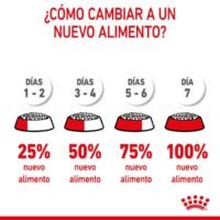Royal Canin Puppy Medium Alimento Seco Para Cachorros Razas Medianas