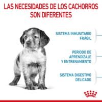 Royal Canin Puppy Medium Alimento Seco Para Cachorros Razas Medianas