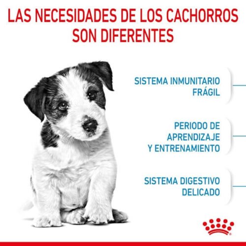 Royal Canin Puppy Mini Alimento Seco