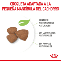 Royal Canin Puppy Mini Alimento Seco Para Cachorros Razas Pequeñas