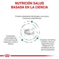 Royal Canin Hypoallergenic Small Dog Alimento Seco Para Perros