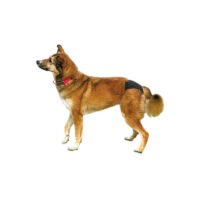 Trixie Braguitas Protectoras Para Perros Negras