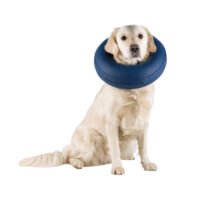 Trixie Collar Protector Inflable Para Perros