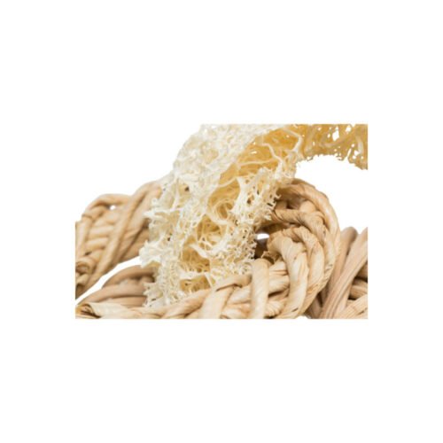 Trixie Juguetes de Lufa para roedores 13 cm beige