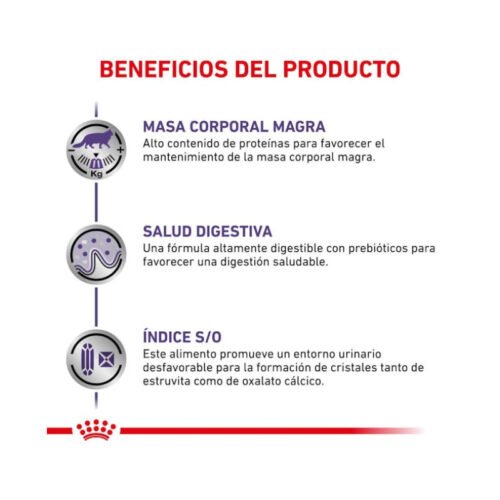 Royal Canin Neutered Maintenance Finas Láminas En Salsa