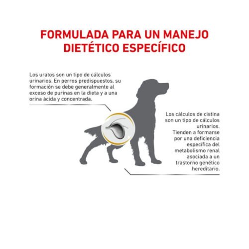 Royal Canin Urinary U/C Perro