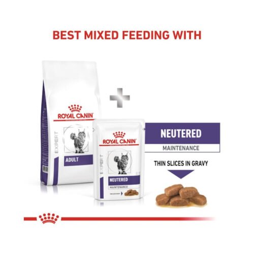 Royal Canin Adult Gato Comida Seca