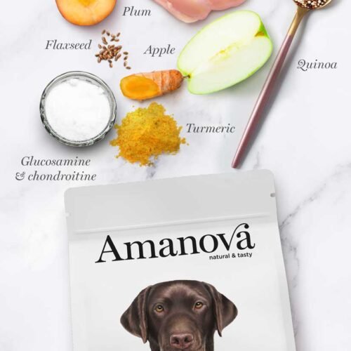 amanova-adult-large-exquisite-chicken-perro-adulto-pienso-hipoalergenico ingredientes principales pollo, manzana, ciruela, quinoa, cúrcuma
