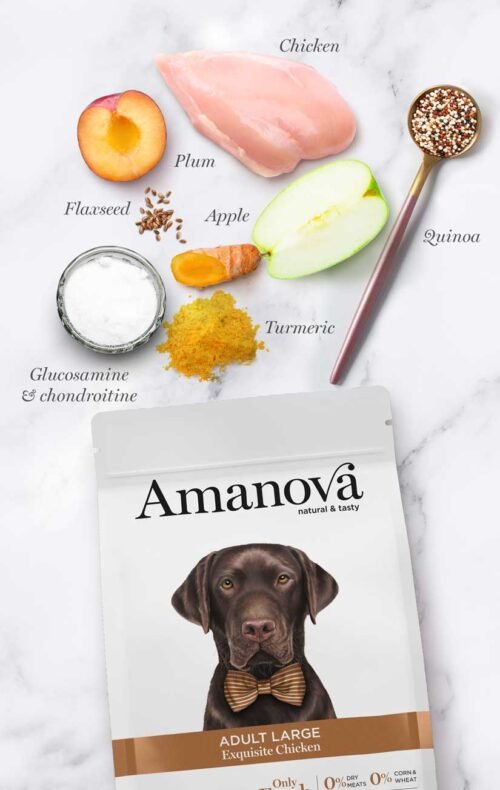 amanova-adult-large-exquisite-chicken-perro-adulto-pienso-hipoalergenico ingredientes principales pollo, manzana, ciruela, quinoa, cúrcuma
