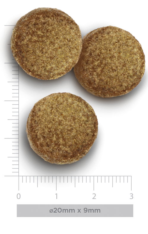 amanova-adult-large-exquisite-chicken-perro-adulto-pienso-hipoalergenico croquetas del pienso Amanova Adult Large Exquisite Chicken con medidas