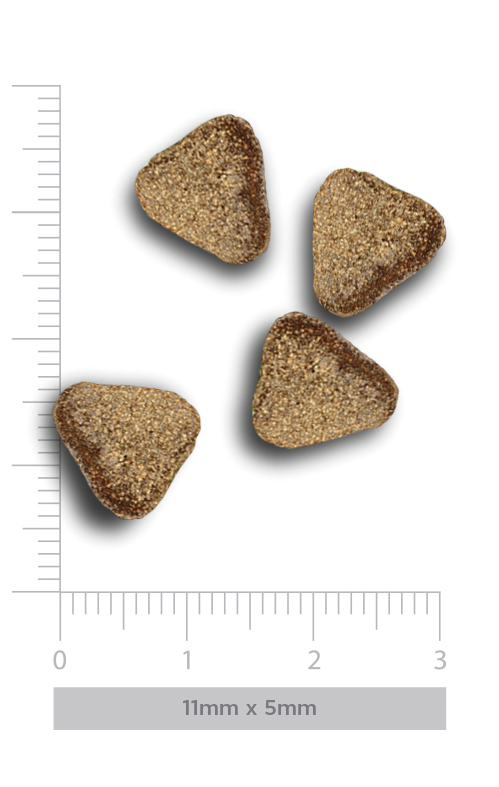 croquetas triangulares de pienso mini Amanova Adult Mini Exigent