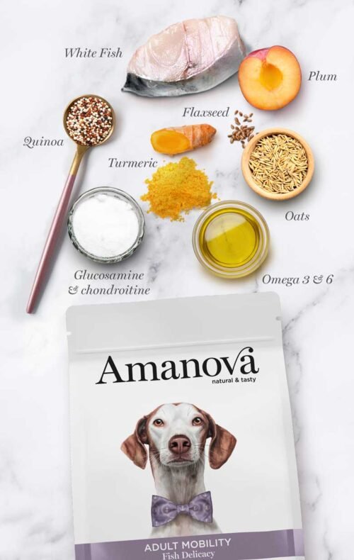 ingredientes principales pescado blanco, ciruela, quinoa, cúrcuma, semillas de lino