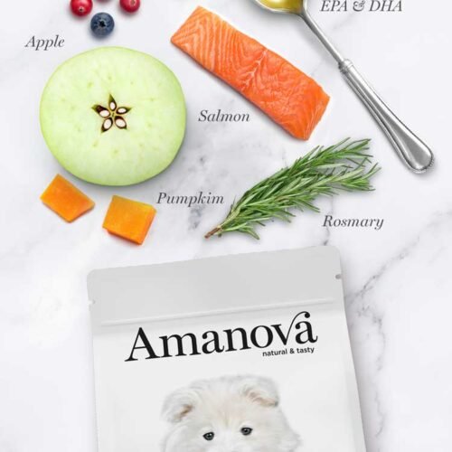 ingredientes principales salmón fresco, brócoli, calabaza, arándanos, manzana y romero
