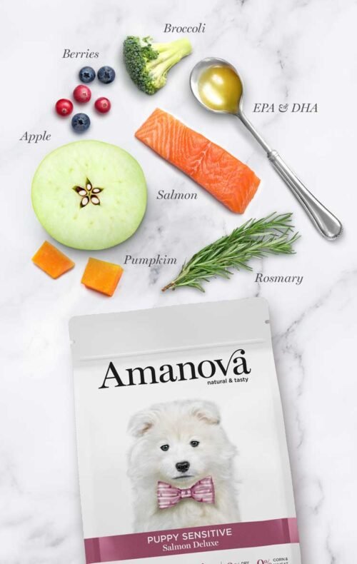 ingredientes principales salmón fresco, brócoli, calabaza, arándanos, manzana y romero