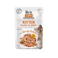 brit-care-cat-kitten-fillets-gravy-savory-salmon-gatito-comida-humeda paquete frontal brit care cat kitten fillets in gravy with savory salmon 85 g