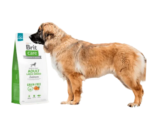 pack de pienso junto a perro de raza grande