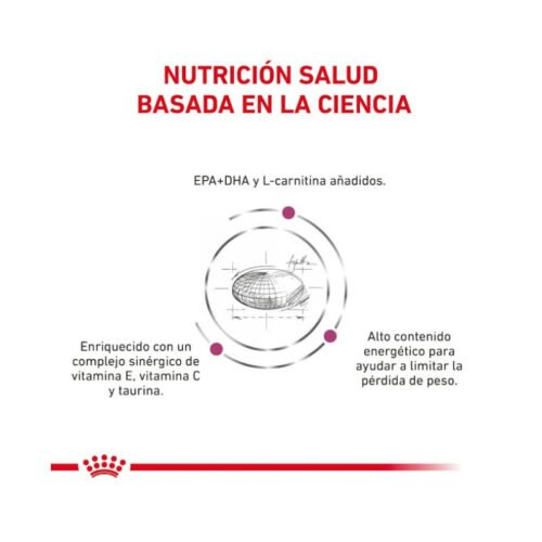 Beneficios Royal Canin Cardiac perro