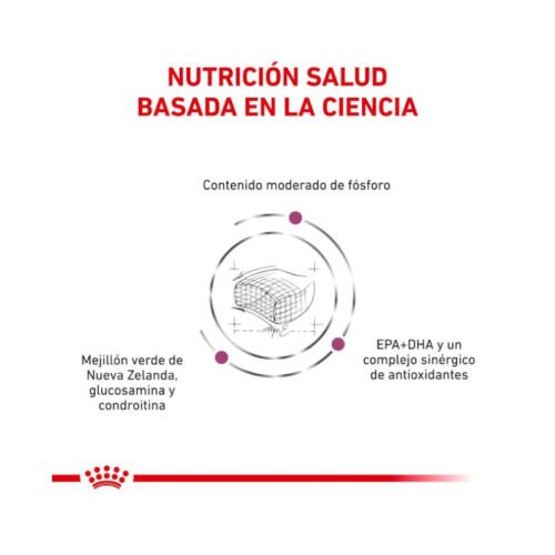 Royal Canin Early Renal beneficios clave del producto