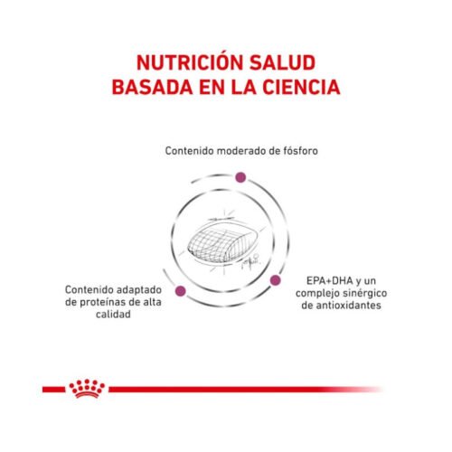 Royal Canin Early Renal beneficios clave del producto