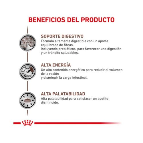 Royal Canin Gastrointestinal Finas Láminas En Salsa beneficios comida húmeda gato