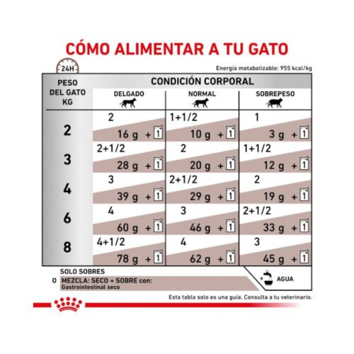 Royal Canin Gastrointestinal Finas Láminas En Salsa racionamiento comida húmeda gato