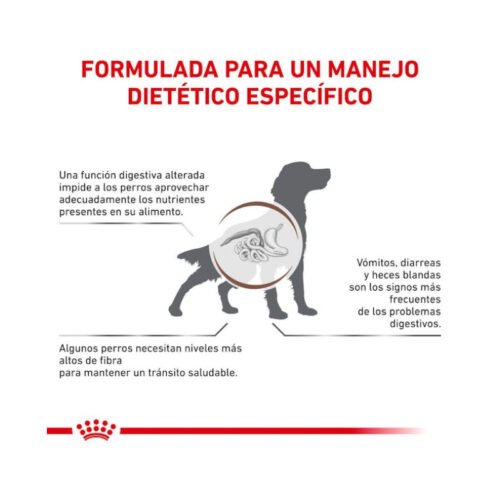 Royal Canin Gastrointestinal High Fibre beneficios adicionales pienso perro
